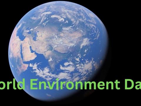 प्लाष्टिकको प्रदूषणविरुद्ध लागौं भन्ने नाराका साथ विश्व वातावरण दिवस मनाइँदै