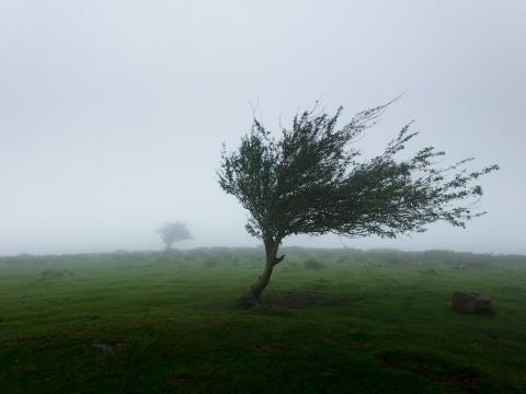 पहाडी भूभागमा हल्कादेखि मध्यम वर्षा, तराईमा हावाहुरीको सम्भावना