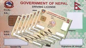 लाइसेन्स छाप्ने र वितरण गर्ने काम ६ महिनायता ठप्प