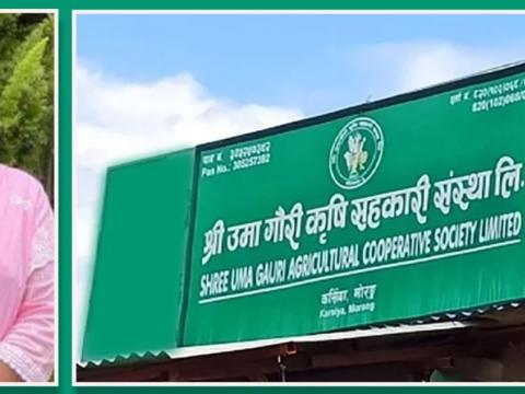 सांसद पत्नी अंजलासहित २६ जनालाई २२ करोड ४८ लाखको बिगो, ८ वर्षसम्म कैद सजायको माग