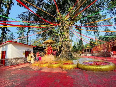 पाउपाथीभरामा शिव महापुराण  ज्ञान महायज्ञको सम्पूर्ण तयारी पुरा 