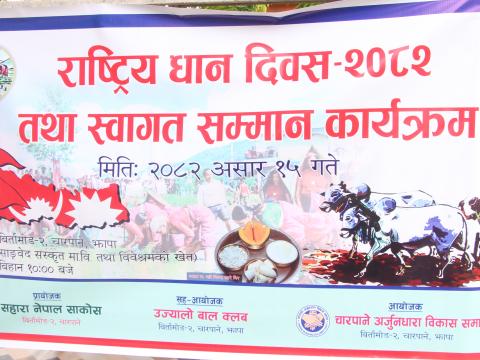 चारपाने अर्जुनधारा बिकास समाजले मनायो धान दिवस 