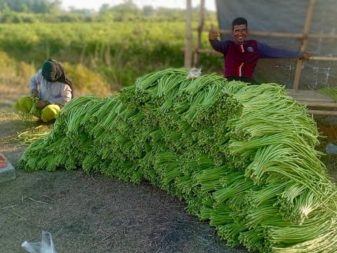 प्रदीप खनालको फार्मबाट दैनिक ५०० केजी बोडी उत्पादन