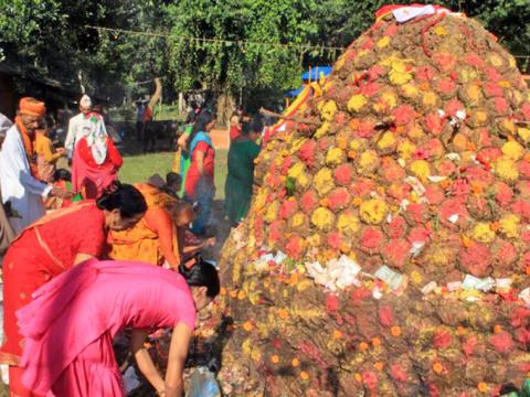 मिथिलामा गोबर र केराउ कुट्ने पर्व मनाइँदै