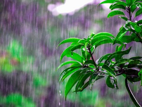 पहाडी क्षेत्रमा बदली बढ्दै, केही स्थानमा वर्षा र हिमपातको सम्भावना