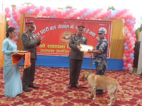 उत्कृष्ट कार्यसम्पादन गर्ने सशस्त्र प्रहरी वरिष्ठ हवल्दार रूपक न्यौपाने प्रशंसा-पत्रसहित सम्मानित उत्कृष्ट कार्यसम्पादन गर्ने सशस्त्र प्रहरी वरिष्ठ हवल्दार रूपक न्यौपाने प्रशंसा-पत्रसहित सम्मानित